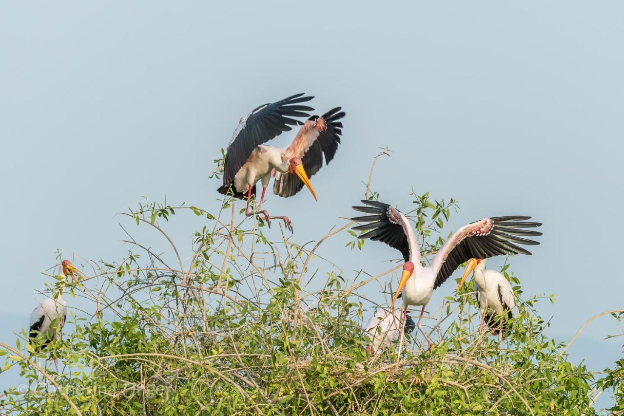 Lake Natron Maasai Giraffe Eco Lodge And Camping Mtowabaga Exterior foto